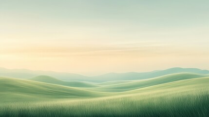 Obraz premium A field of grass with a clear blue sky in the background