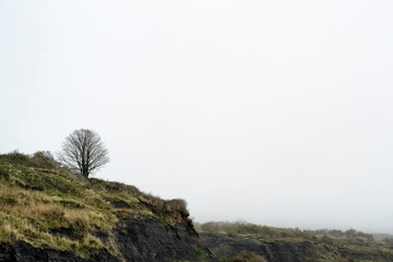 Bare tree on top of the cliff