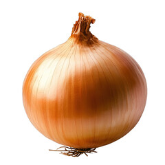Whole onion with a golden-brown papery skin