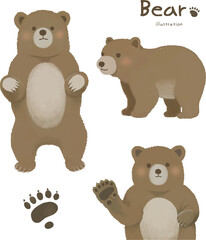 Cute bear animal hand drawn illustration set