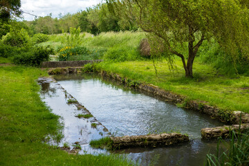 A tranquil stream meandering through lush greenery in the serene countryside of Nargis, France