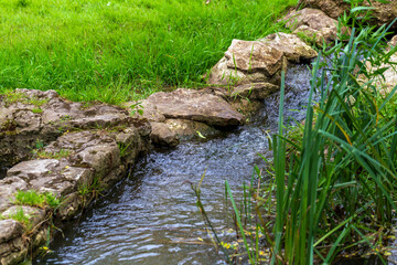 A clear stream gently flowing over rocks, surrounded by lush green grass