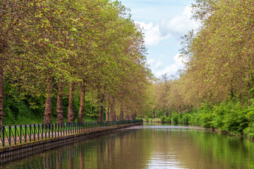An idyllic tree-lined canal pathway along the Canal du Loing, with vibrant spring foliage reflecting in the calm waters