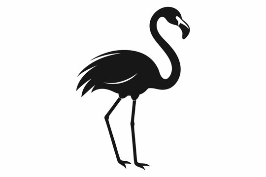 recommend clip art: flamingo vector silhouette, Vector black flamingo silhouette, Black silhouette of tropical bird flamingo