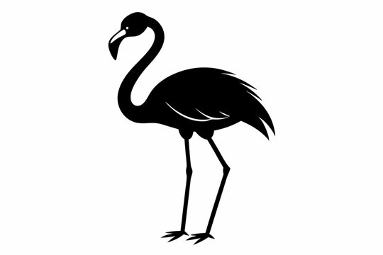 recommend clip art: flamingo vector silhouette, Vector black flamingo silhouette, Black silhouette of tropical bird flamingo