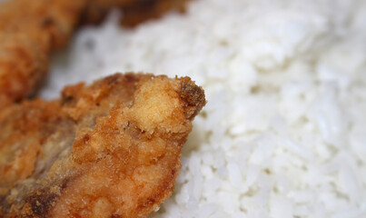 breaded fish with rice. white rice with fish. meal details. fish with selective focus.