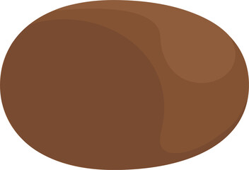 Kiwi Fruit Illustration