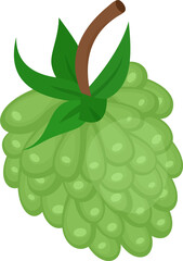 Soursop Fruit Illustration