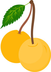 Apricot Fruit Illustration