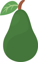 Avocado Fruit Illustration