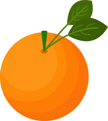 Orange Fruit Illustration