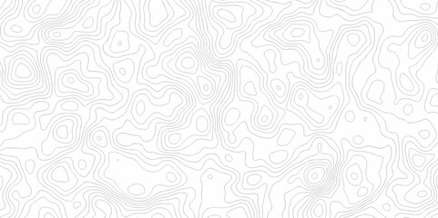 Vector seamless wave stripe topography map pattern camping grid cartography diagram black and white geometric carve wave line. abstract landscape topography line map wavy texture design background.