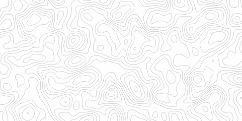 Seamless wave stripe topography map pattern camping grid cartography diagram black and white geometric carve wave line. abstract landscape topography line map vector wavy texture design background.