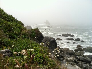 Northern California coast