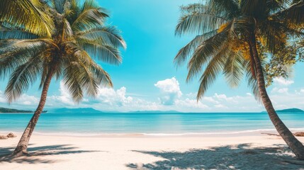 Summer Resort Beach Sea Relax Travel Vacation Palm Tropic Copy Space Banner Background Hotel, ai