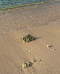 Obraz premium Green Ocean Waves on a Tan Sand Beach with Coral Rocks in Waikiki, Hawaii.