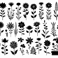 FLOWER shiloute vector