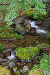 涼しげな清流をスローシャッター撮影