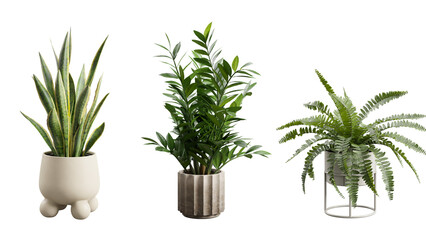 Small Potted Plants on Transparent Background