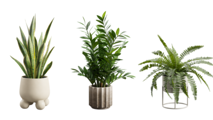 Small Potted Plants on Transparent Background