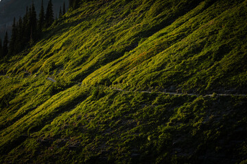 Light Fades Across Lush Hillside Along The Highline Trail