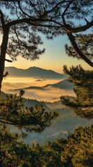 Sunrise mountain landscape with fog and pine