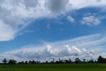 Rice field showing dramatic weather conditions and cloud formations during tropical rainy season.