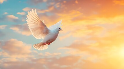 One white dove flying in the sunset sky