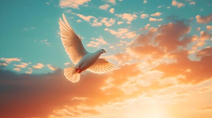 One White Dove flying in freedom at sunset