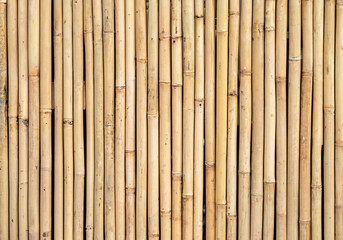 Bamboo Stick Fence