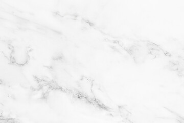 Elegant White Marble Granite Wall with Black Veining for Interior Design