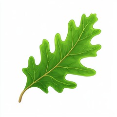 vector graphic of a oak leaf