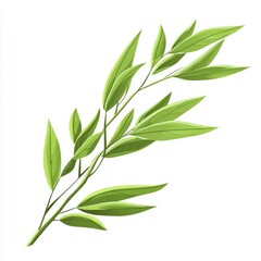 Obraz premium vector graphic of willow leaves
