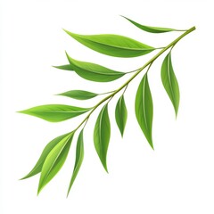 vector graphic of willow leaves