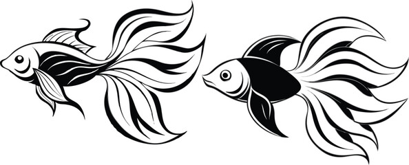 Fototapeta premium Angel fish vector illustration 