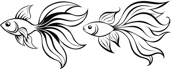 Obraz premium Angel fish vector illustration 