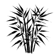 Fototapeta premium Bamboo silhouette isolated on transparent background