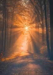 A pathway through a misty forest at sunrise, with golden sunlight streaming through the trees.