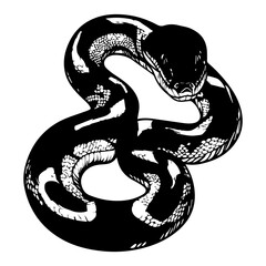 Fototapeta premium black and white animal vector types of animals about animals