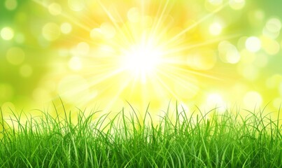 Obraz premium Green grass and sunlight banner background