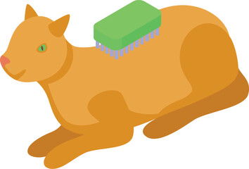 Cute red cat is lying down, enjoying getting brushed