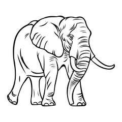 Fototapeta premium Elephant: vector line art cartoon style for coloring