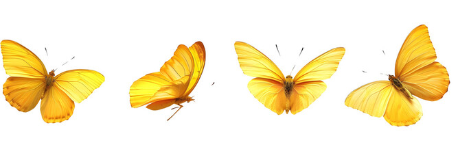 Obraz premium yellow butterflies flying in different directions isolated on transparent background