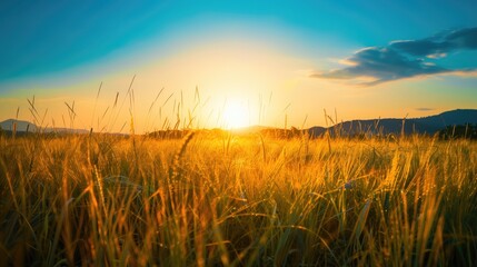 Fototapeta premium Free good morning scene wallpaper background photo