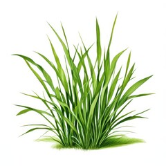 Fototapeta premium the AI Image Generator, resolution image of fresh green grass with