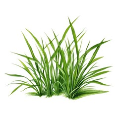 Fototapeta premium the AI Image Generator, resolution image of fresh green grass with