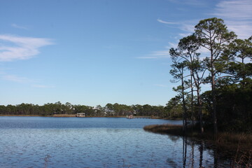Obraz premium Calm Florida Lake and Trees on 30A Highway
