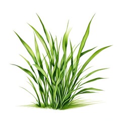 Fototapeta premium the AI Image Generator, resolution image of fresh green grass with