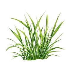 Fototapeta premium the AI Image Generator, resolution image of fresh green grass with