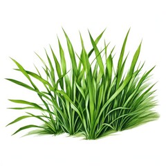 Fototapeta premium the AI Image Generator, resolution image of fresh green grass with